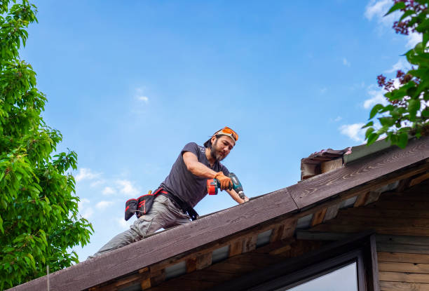 Best Roof Ventilation Installation  in Fordoche, LA